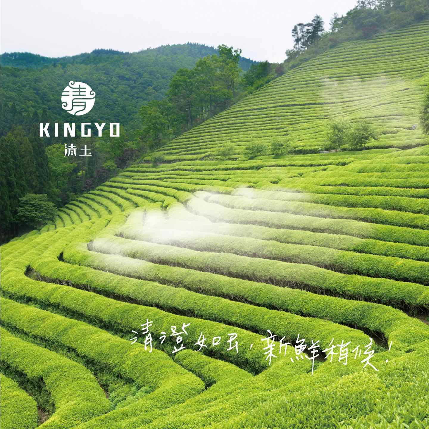 清玉好茶Kingyo的特許經營香港區加盟店項目2
