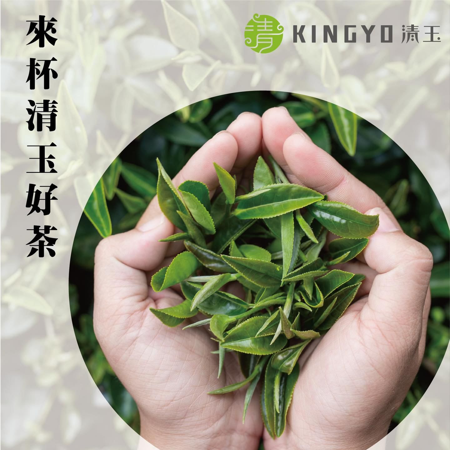 清玉好茶Kingyo的特許經營香港區加盟店項目3