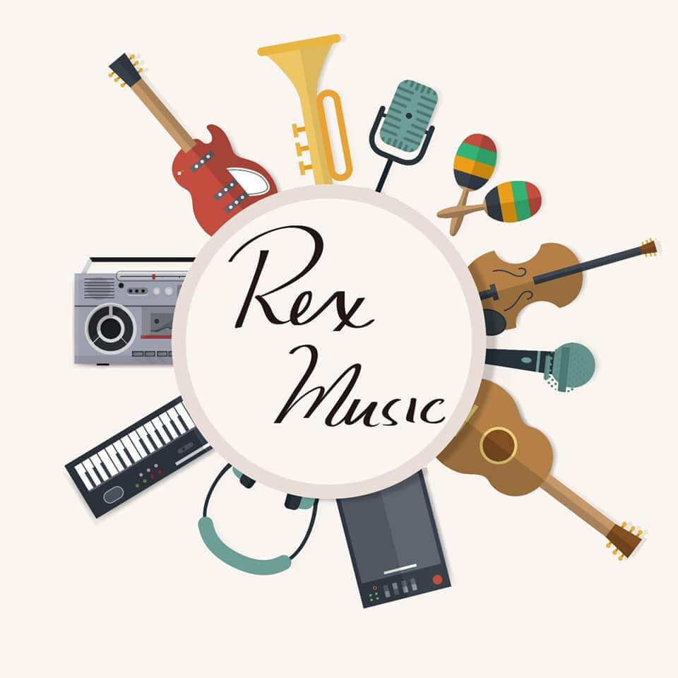 域斯琴行 Rex Music的特許經營香港區加盟店項目1