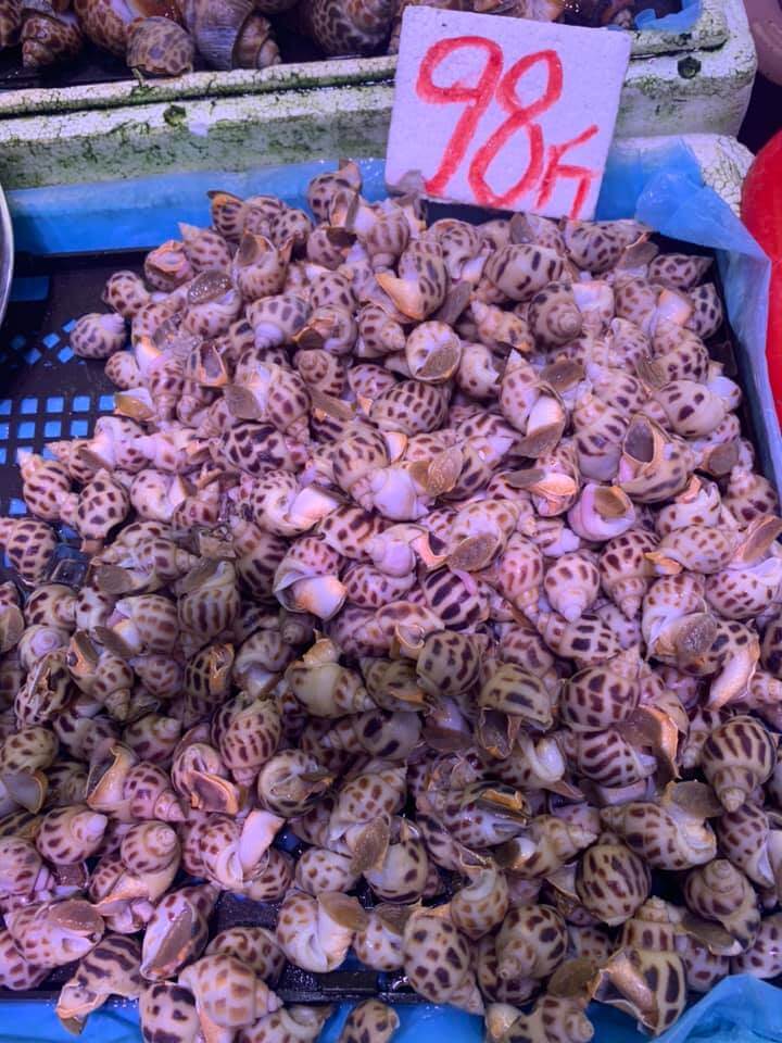 田記海鮮的特許經營香港區加盟店項目4