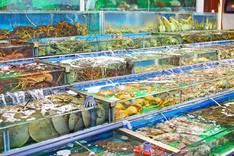 田記海鮮的特許經營香港區加盟店項目2
